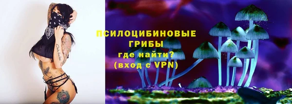 прущие крисы Алзамай