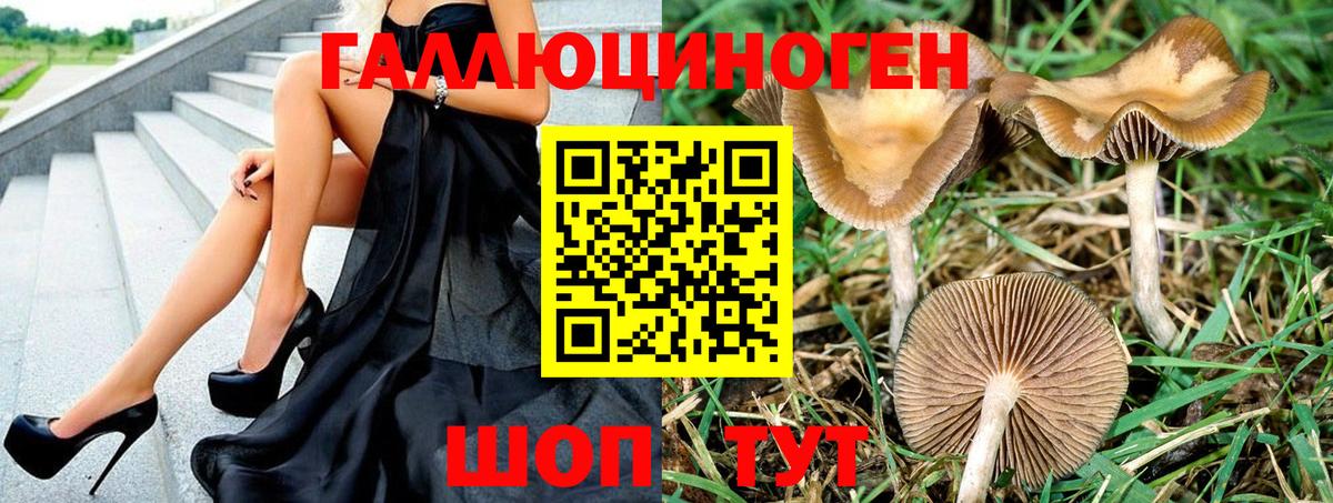 Псилоцибиновые грибы прущие грибы Железноводск
