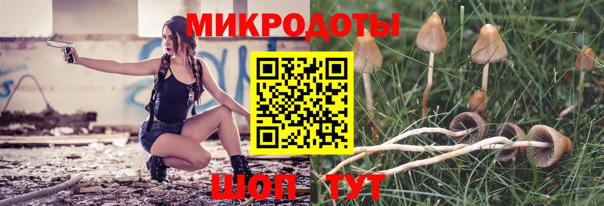 Железноводск  Псилоцибиновые грибы MAGIC MUSHROOMS  Вход с VPN  где найти наркотики  Псилоцибиновые грибы GOLDEN TEACHER 